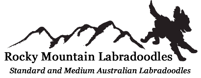 Rocky Mountain Labradoodles